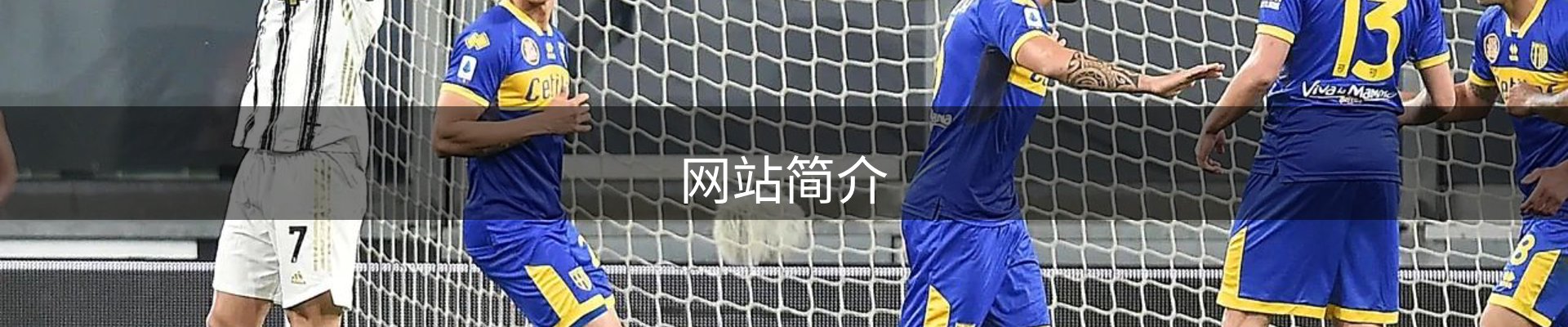 网站简介